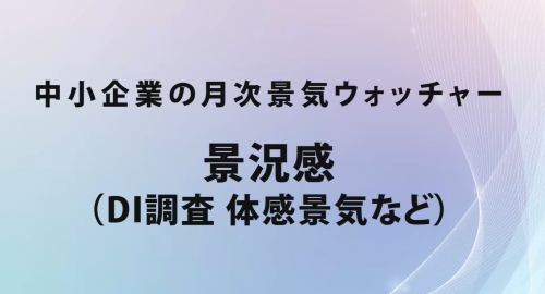 第６０回　景況感（DI調査、体感景気など）